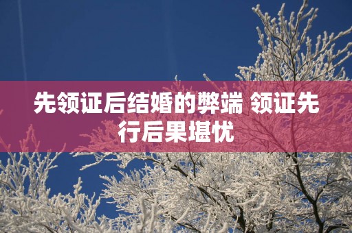 先领证后结婚的弊端 领证先行后果堪忧