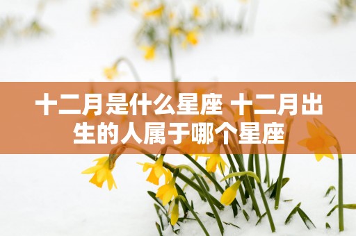 十二月是什么星座 十二月出生的人属于哪个星座