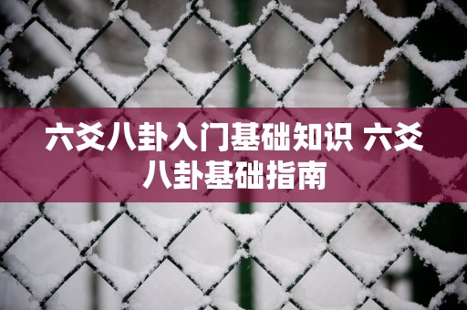 六爻八卦入门基础知识 六爻八卦基础指南