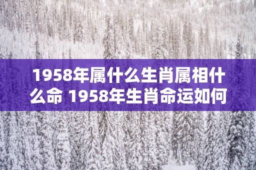1958年属什么生肖属相什么命 1958年生肖命运如何