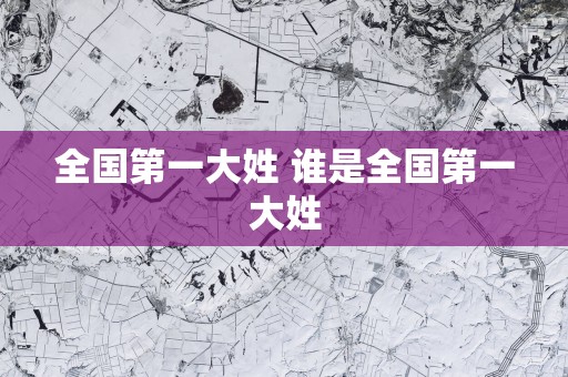 全国第一大姓 谁是全国第一大姓