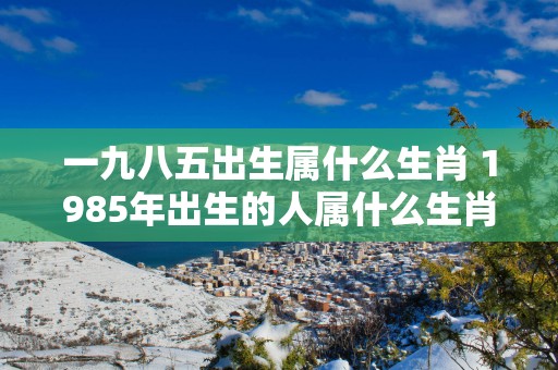 一九八五出生属什么生肖 1985年出生的人属什么生肖