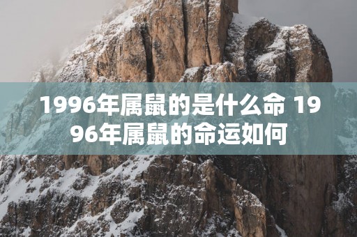 1996年属鼠的是什么命 1996年属鼠的命运如何