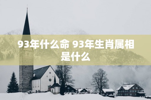 93年什么命 93年生肖属相是什么