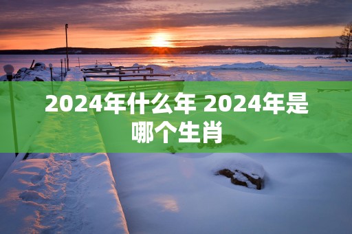 2025年什么年 2025年是哪个生肖