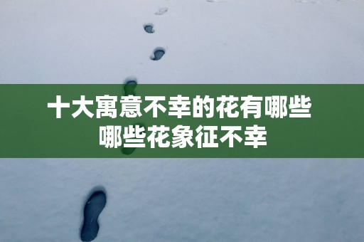十大寓意不幸的花有哪些 哪些花象征不幸