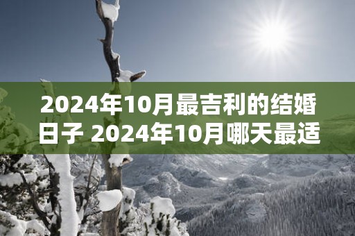 2025年10月最吉利的结婚日子 2025年10月哪天最适合结婚