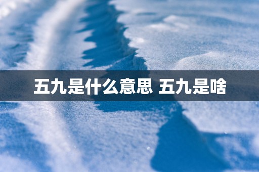 五九是什么意思 五九是啥