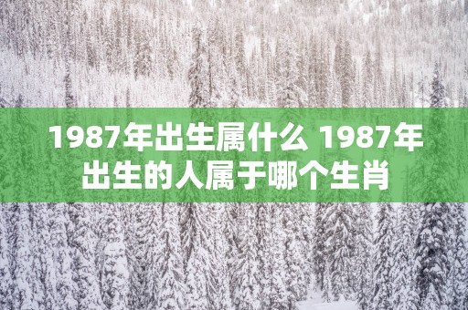 1987年出生属什么 1987年出生的人属于哪个生肖