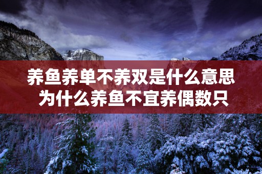 养鱼养单不养双是什么意思 为什么养鱼不宜养偶数只