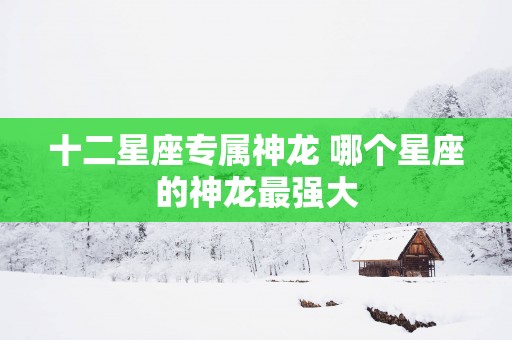 十二星座专属神龙 哪个星座的神龙最强大