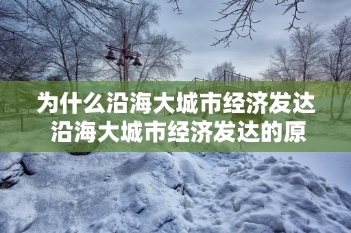 为什么沿海大城市经济发达 沿海大城市经济发达的原因是什么