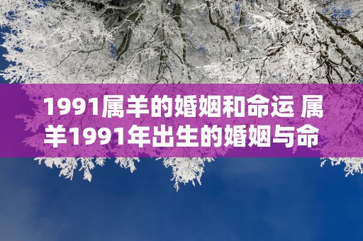 1991属羊的婚姻和命运 属羊1991年出生的婚姻与命运