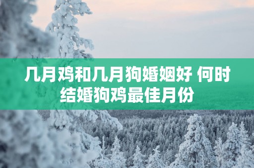 几月鸡和几月狗婚姻好 何时结婚狗鸡最佳月份