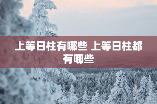 上等日柱有哪些 上等日柱都有哪些