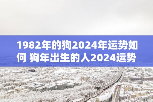 1982年的狗2025年运势如何 狗年出生的人2025运势如何