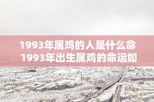 1993年属鸡的人是什么命 1993年出生属鸡的命运如何