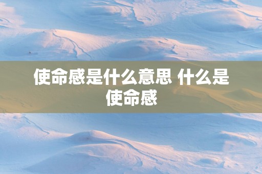 使命感是什么意思 什么是使命感