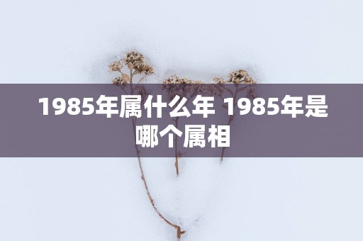 1985年属什么年 1985年是哪个属相