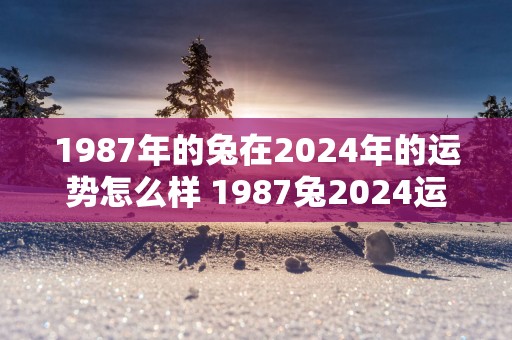 1987年的兔在2025年的运势怎么样 1987兔2025运势如何