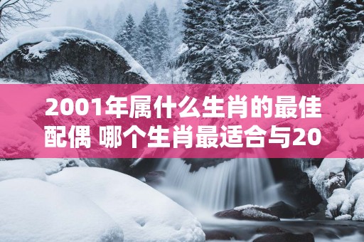 2001年属什么生肖的最佳配偶 哪个生肖最适合与2001年生肖配对