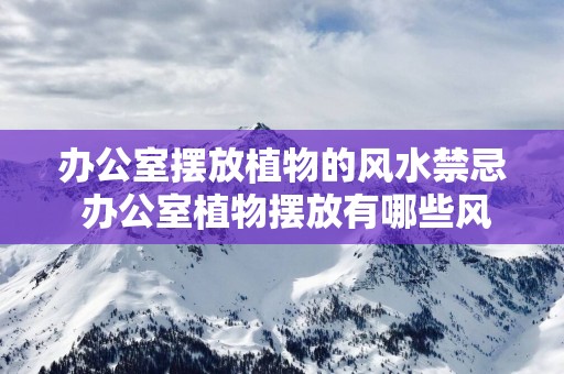 办公室摆放植物的风水禁忌 办公室植物摆放有哪些风水禁忌