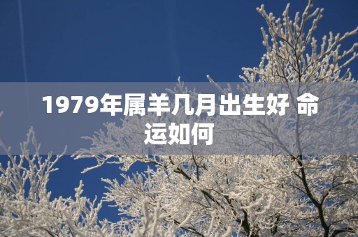 1979年属羊几月出生好 命运如何