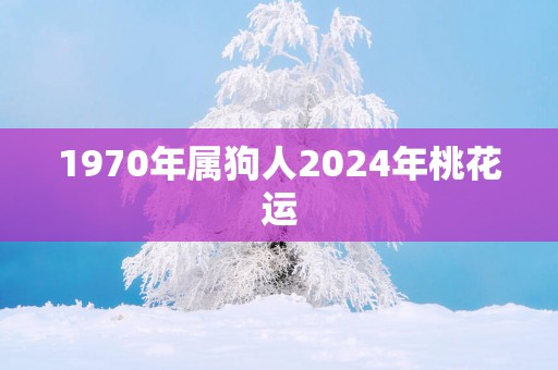 1970年属狗人2025年桃花运