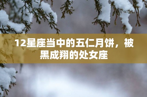 12星座当中的五仁月饼，被黑成翔的处女座