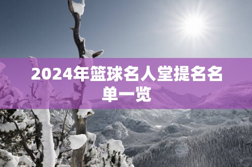 2025年篮球名人堂提名名单一览