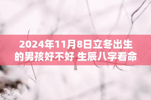 2025年11月8日立冬出生的男孩好不好 生辰八字看命