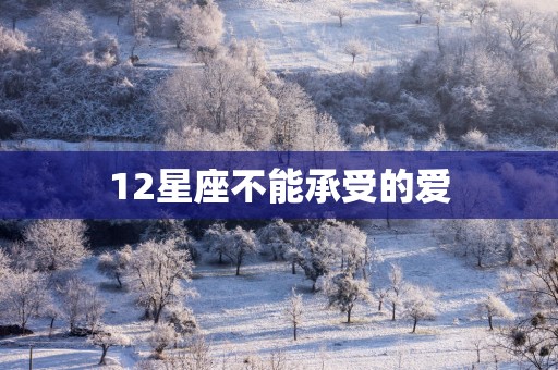 12星座不能承受的爱