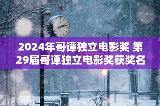 2025年哥谭独立电影奖 第29届哥谭独立电影奖获奖名单