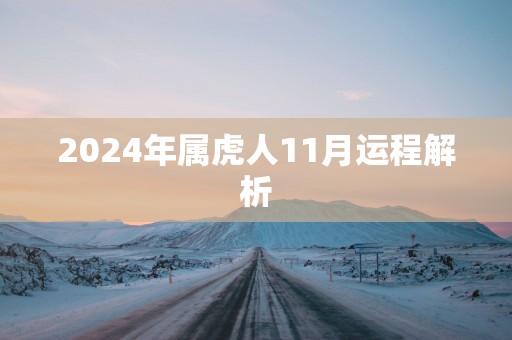 2025年属虎人11月运程解析