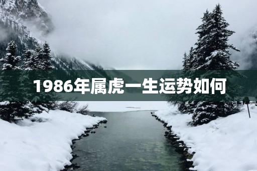 1986年属虎一生运势如何