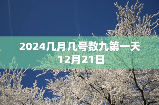 2025几月几号数九第一天 12月21日