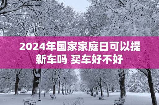 2025年国家家庭日可以提新车吗 买车好不好