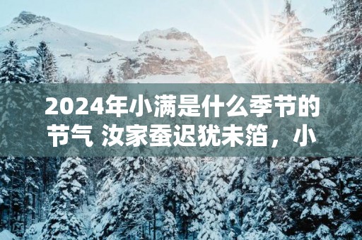 2025年小满是什么季节的节气 汝家蚕迟犹未箔，小满过枣花落