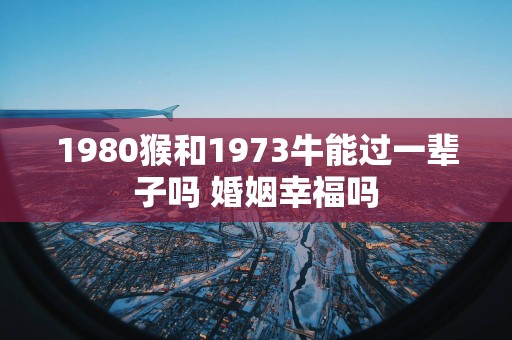 1980猴和1973牛能过一辈子吗 婚姻幸福吗