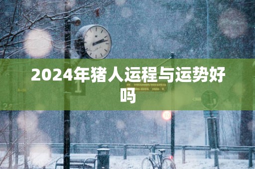 2025年猪人运程与运势好吗