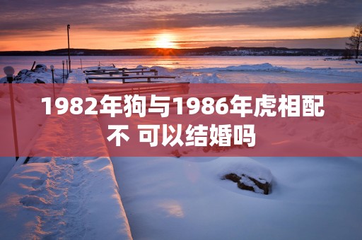 1982年狗与1986年虎相配不 可以结婚吗