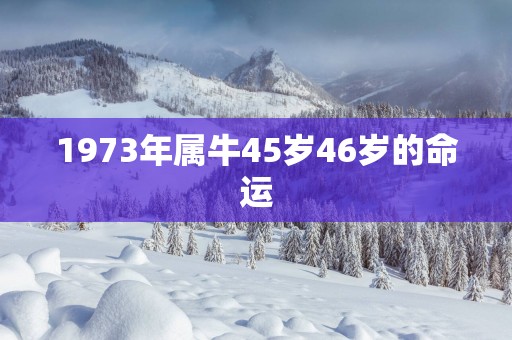 1973年属牛45岁46岁的命运