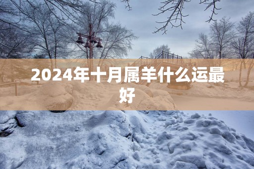 2025年十月属羊什么运最好