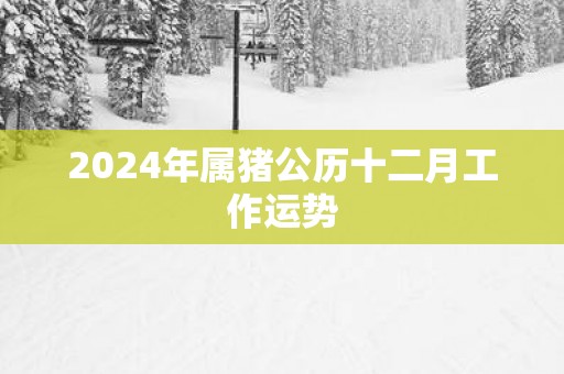 2025年属猪公历十二月工作运势