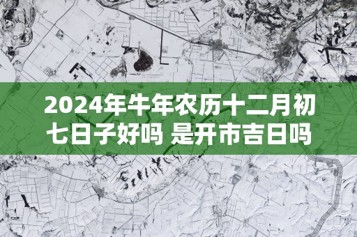 2025年蛇年农历十二月初七日子好吗 是开市吉日吗