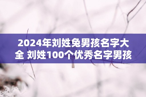 2025年刘姓兔男孩名字大全 刘姓100个优秀名字男孩