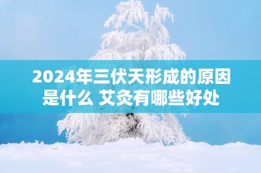 2025年三伏天形成的原因是什么 艾灸有哪些好处