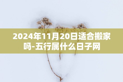 2025年11月20日适合搬家吗-五行属什么日子网