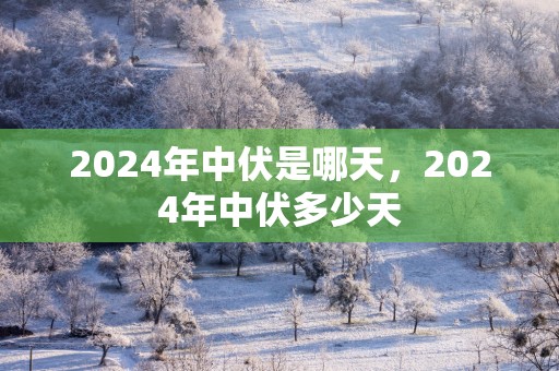 2025年中伏是哪天，2025年中伏多少天