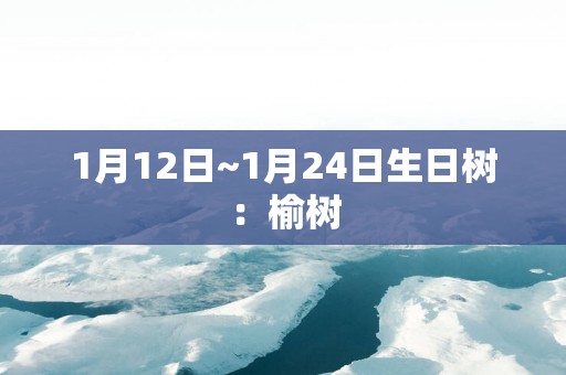 1月12日~1月24日生日树：榆树